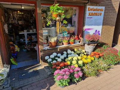 Kwiaciarnia KROKUS Sosnowiec